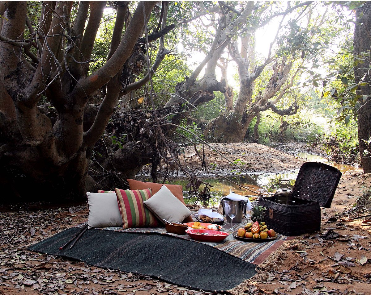 A view of outdoors in Samode