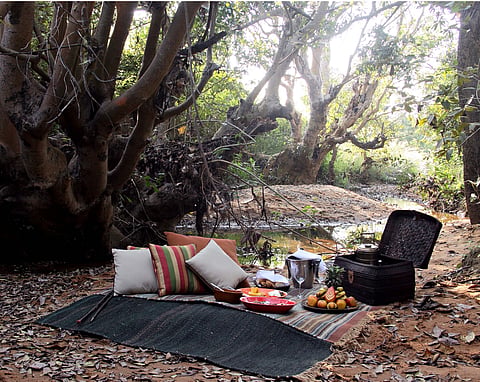 A view of outdoors in Samode