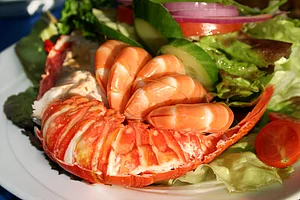 Shutterstock : Fresh and delicious seafood meal at Watson Bay, Sydney, Australia