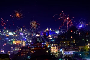 Shutterstock : The Delhi government recently banned firecrackers till January 1