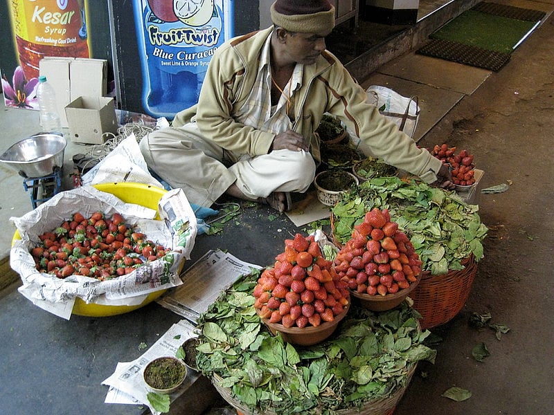 Strawberries abound in Mahabaleshwar