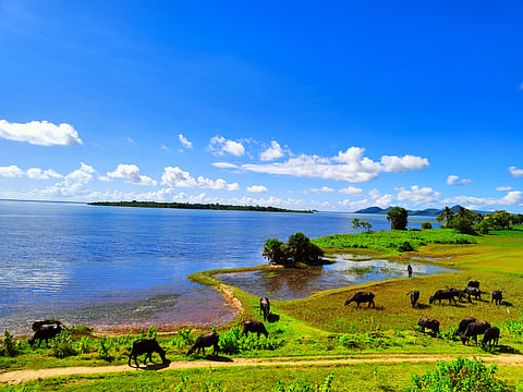 Odisha unfolds as a picturesque tapestry of majestic mountains, serene water bodies, and a rich, flavourful cuisine