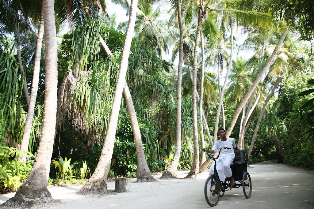 The host with a bicycle at the property
