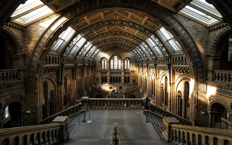 Inside Natural History Museum - Unsplash