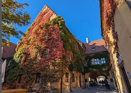 Fuggerei apartments engulfed by green creepers