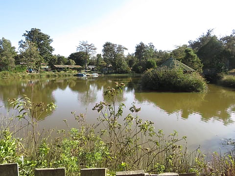 The lake within the lodge premises for boating