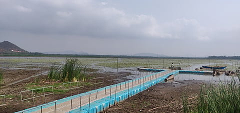 Kondakarla Ava