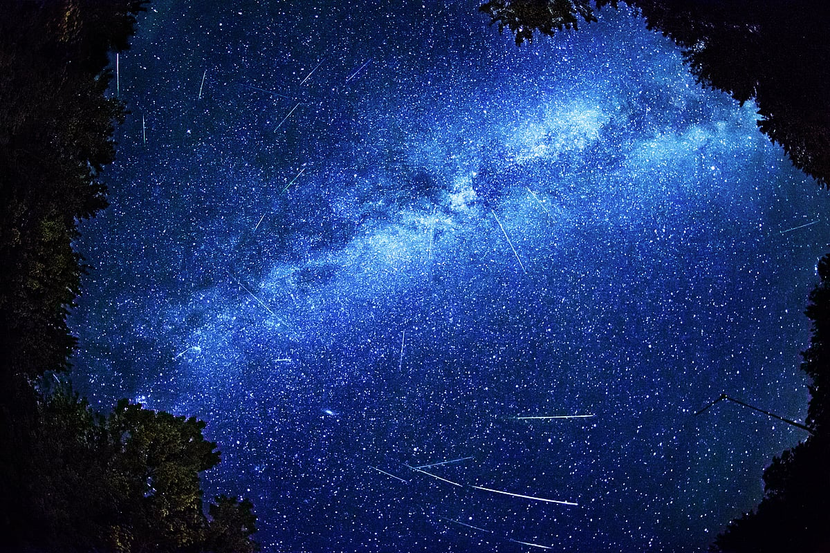Shutterstock : Perseid meteor activity