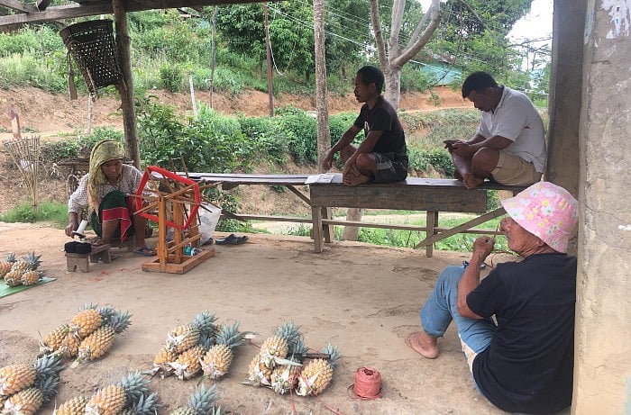 A woman spins thread while selling pineapples by the road in Manipur