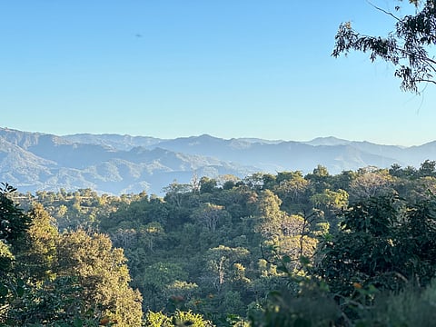 A view of the Morni Hills