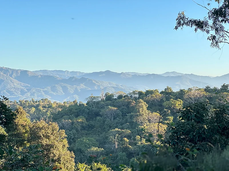 A view of the Morni Hills