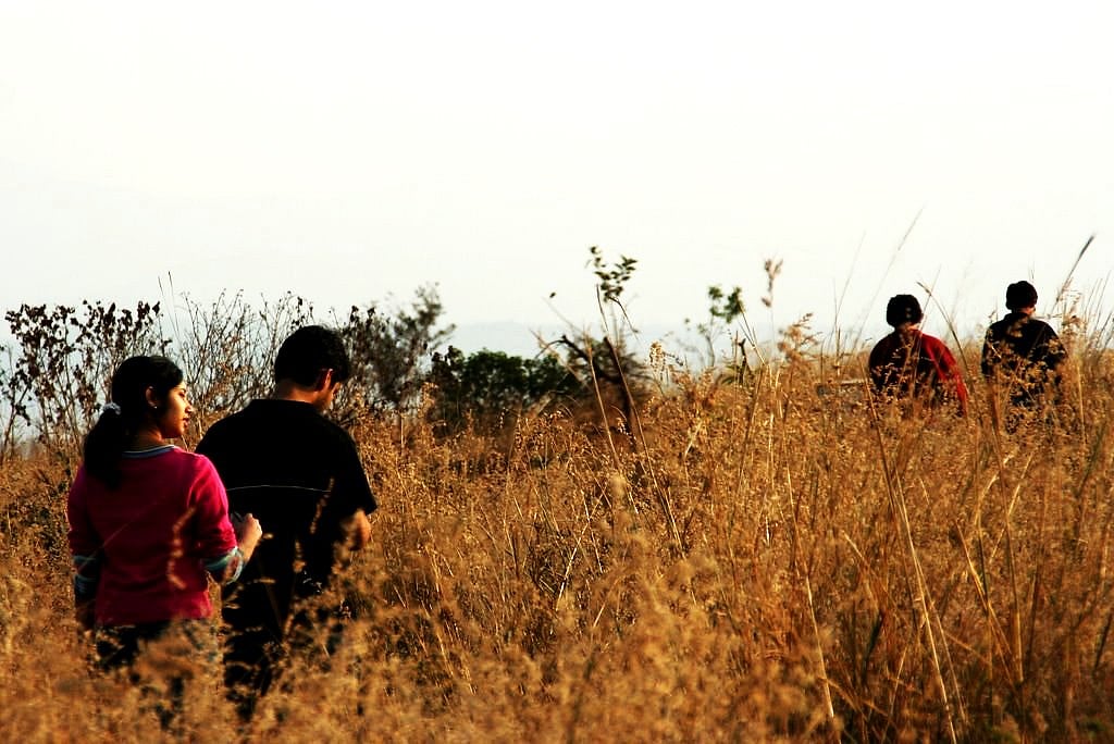 Karthik Chandrasekariah/Flickr Commons : Grasslands hold a crucial place in the states biodiversity