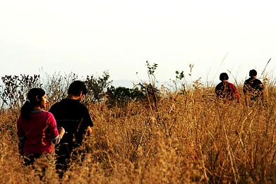 Karthik Chandrasekariah/Flickr Commons : Grasslands hold a crucial place in the states biodiversity