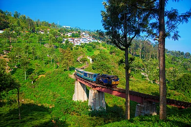 Rajesh Narayanan/Shutterstock : The Nilgiri Mountain Railway is one of the Unesco Heritage railway sites in India