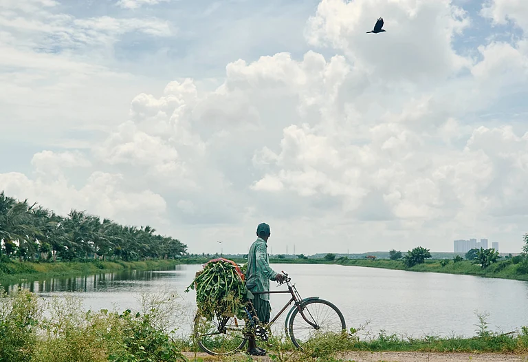 A farmer is seen carrying a pile of green leafy vegetables on bicycle in East Kolkata Wetlands - Shutterstock