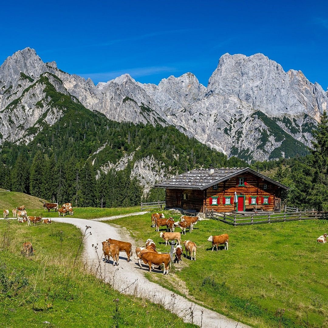 As the country with a large alpine territory, Austria is an ideal hut-to-hut hiking destination