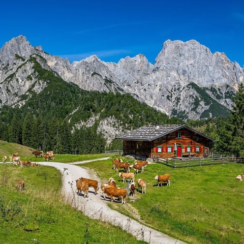 As the country with a large alpine territory, Austria is an ideal hut-to-hut hiking destination