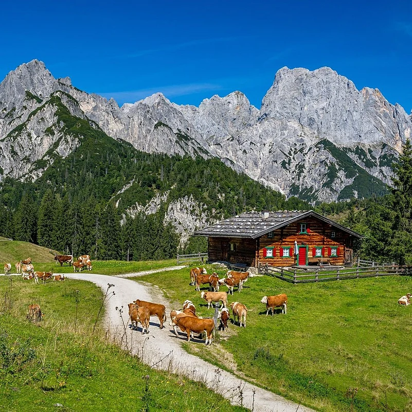 As the country with a large alpine territory, Austria is an ideal hut-to-hut hiking destination