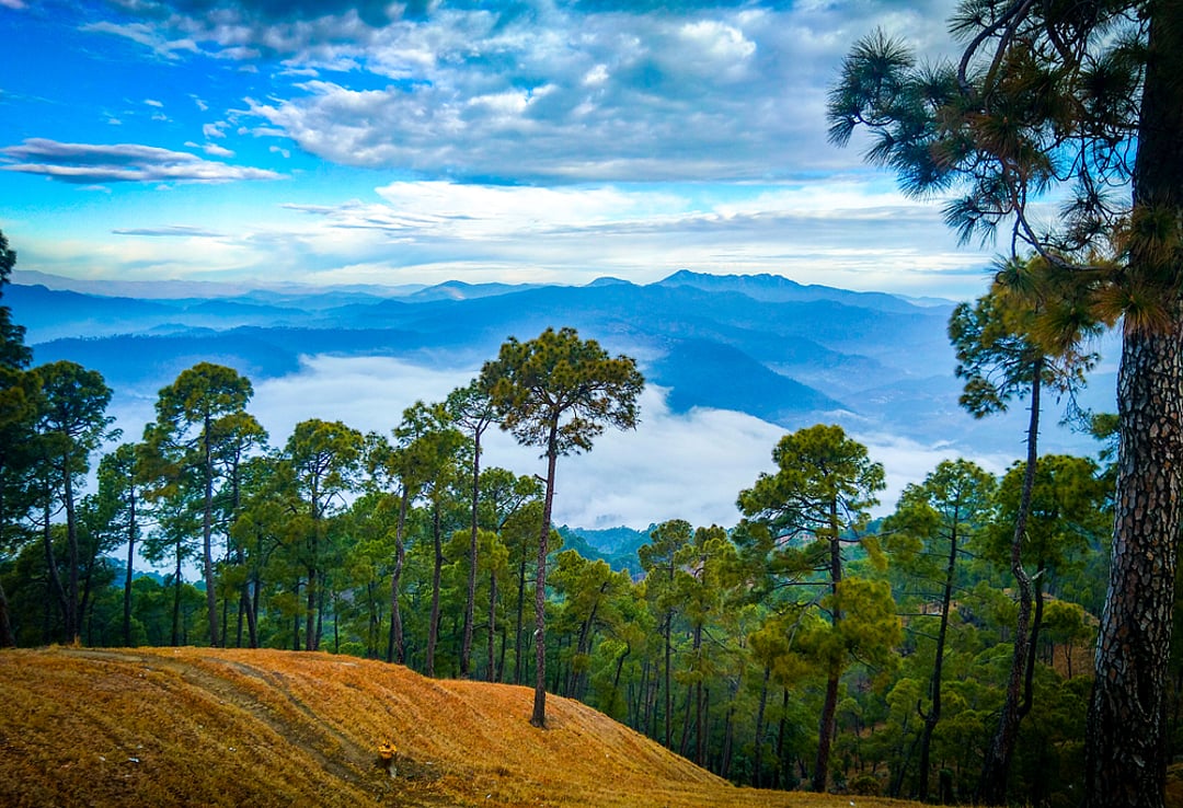 Ranikhet