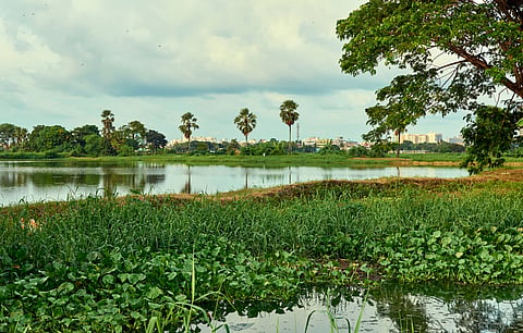  East Kolkata Wetlands