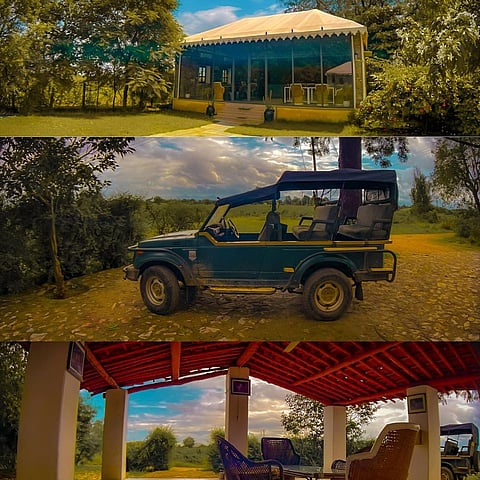 Varawal Leopard Camp