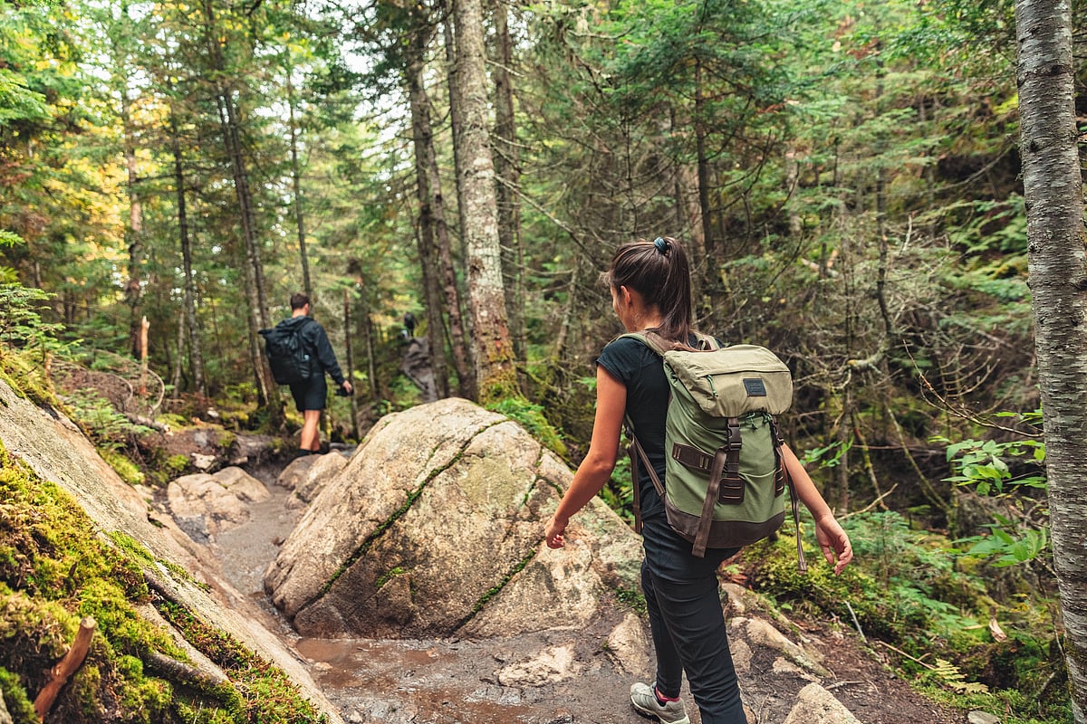 Hikers walking on forest trail with camping backpacks