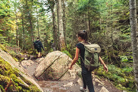 Hikers walking on forest trail with camping backpacks