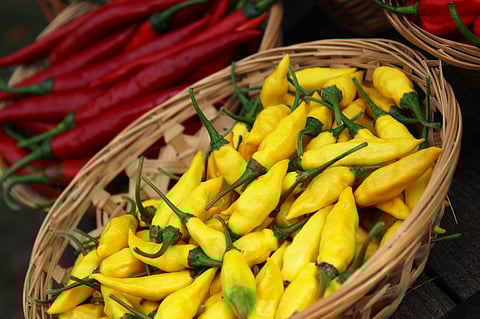 Lemon Drop chillies
