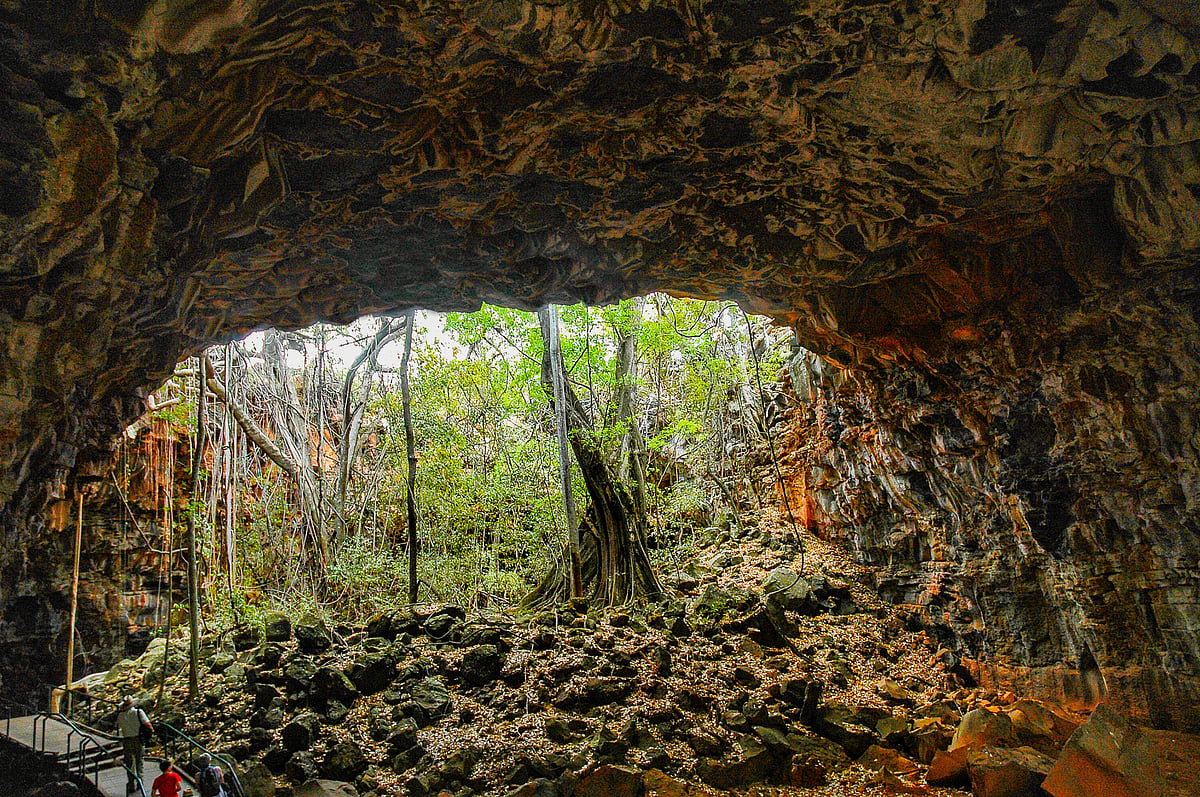 Undara Volcanic National Park