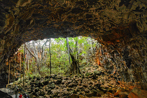Undara Volcanic National Park