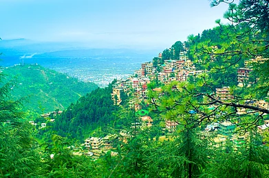 OSHI/Shutterstock : View of Dharamshala. Kangra district