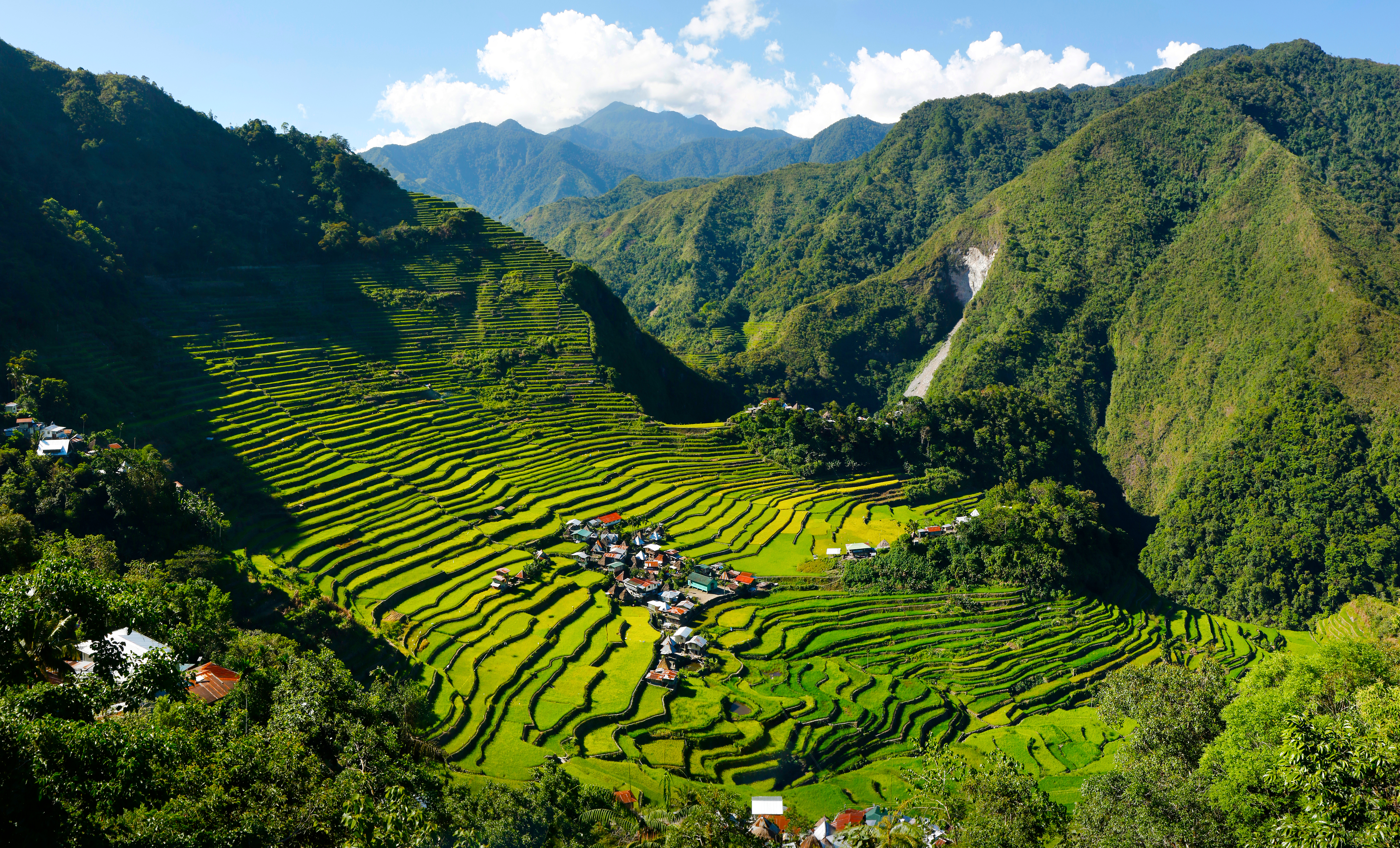 Banaue Rice Terraces