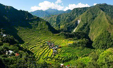Banaue Rice Terraces