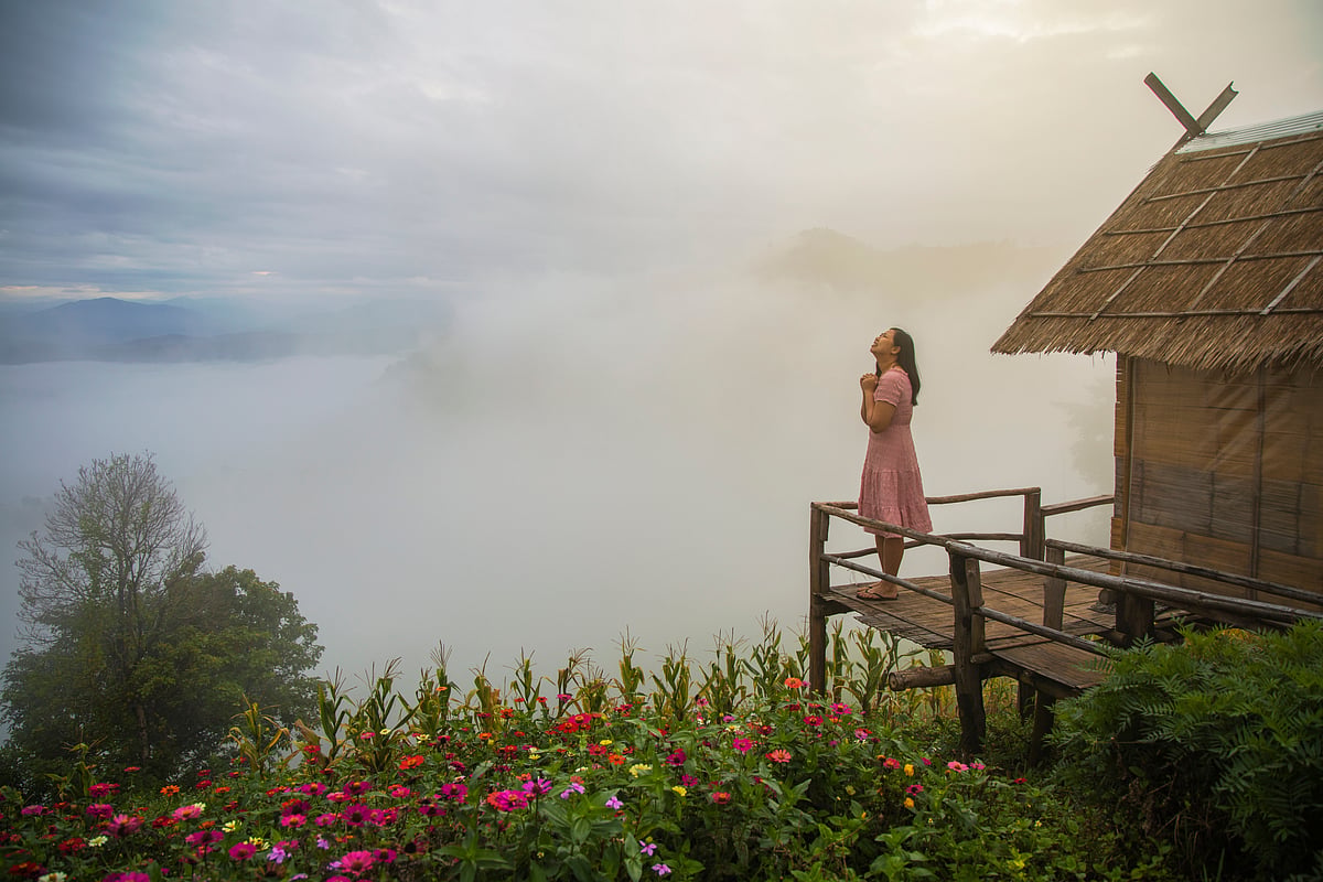 Check user reviews before booking a hotel