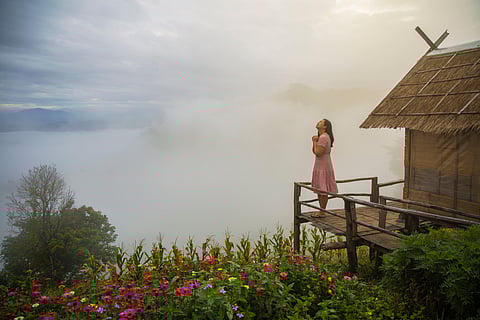 Check user reviews before booking a hotel