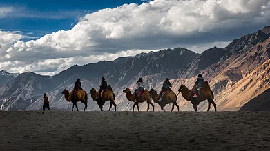 Shutterstock : Camel riders at Nubra Valley
