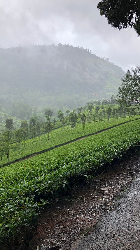 Ooty in winter