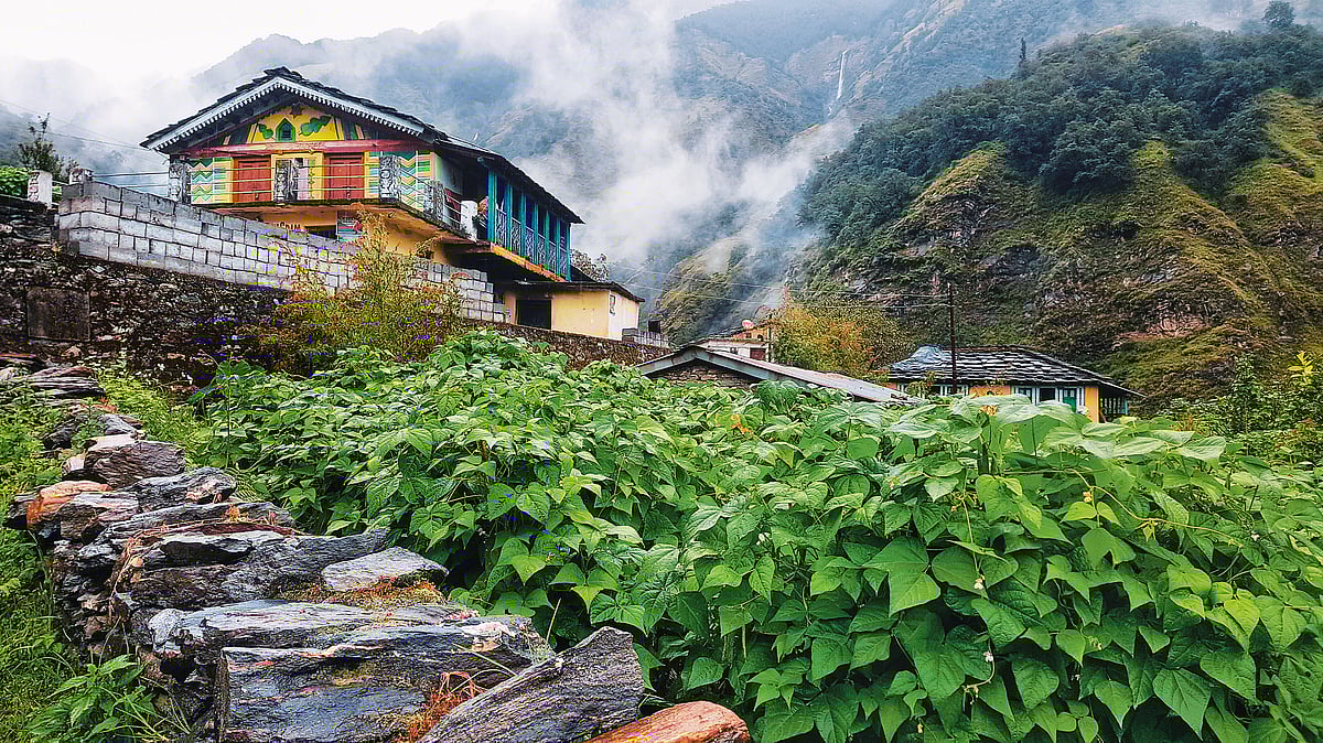 While travelling, tourists should stay in homestays