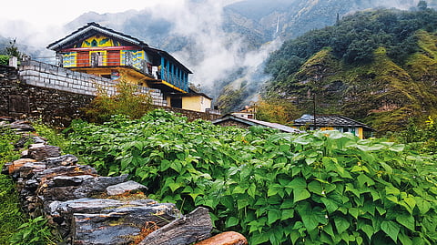 While travelling, tourists should stay in homestays