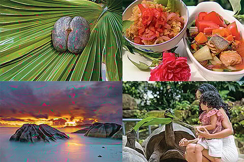 Seychelles is the land of coco de mer, fresh seafood, giant tortoises (also known as the Seychelles domed giant tortoise), and beautiful white sand beaches