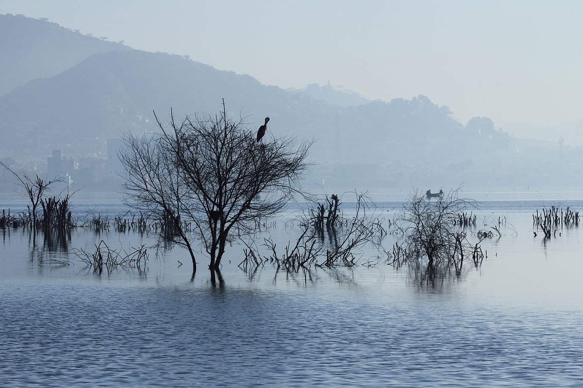 A foggy morning at Ana Sagar Lake in Ajmer 