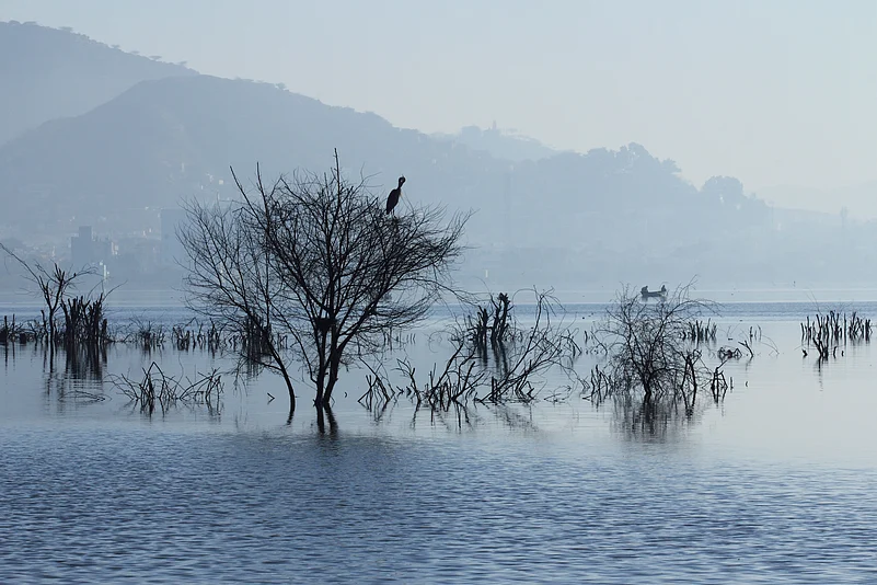 A foggy morning at Ana Sagar Lake in Ajmer