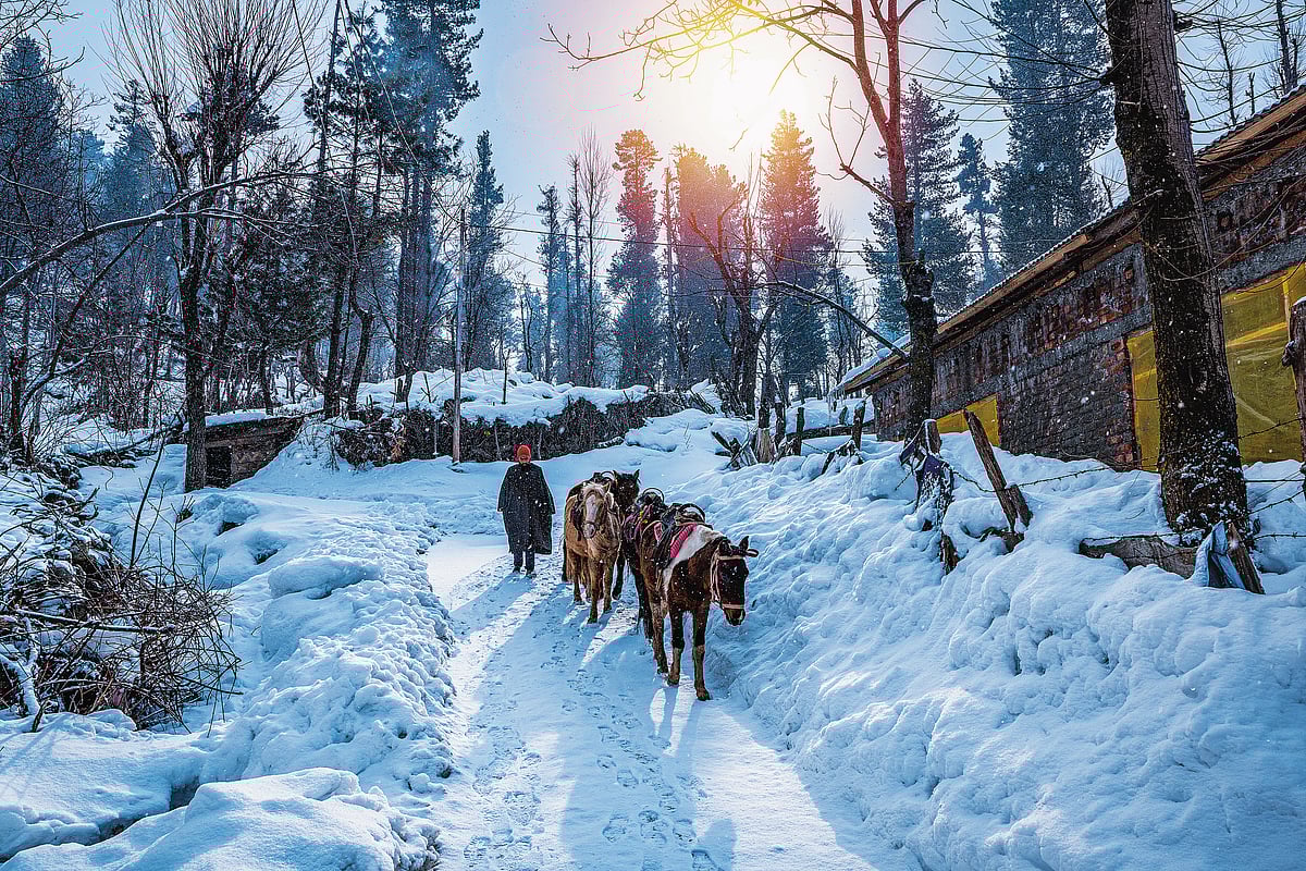 ImagesofIndia : Pahalgam, Jammu and Kashmir