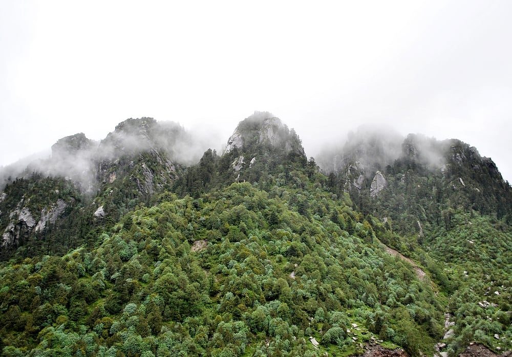 The mist-covered rocky terrain turns green during monsoon at Tsomgo Lake area situated under Pangolakha Wildlife Sanctuary in Sikkim