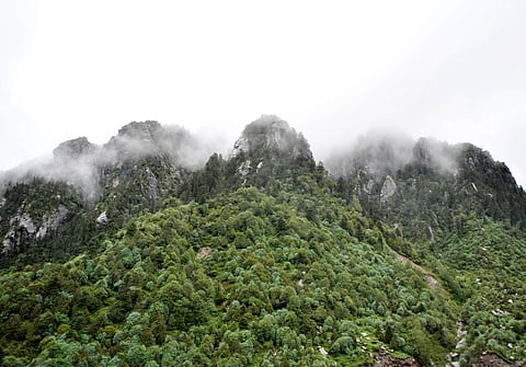 The mist-covered rocky terrain turns green during monsoon at Tsomgo Lake area situated under Pangolakha Wildlife Sanctuary in Sikkim