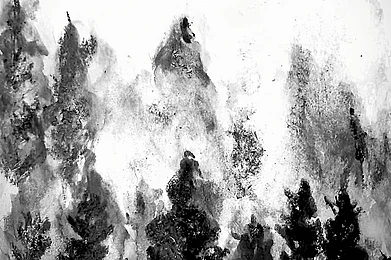 Illustration: Nitin Chaudhary : The authors depiction of the Black Forest