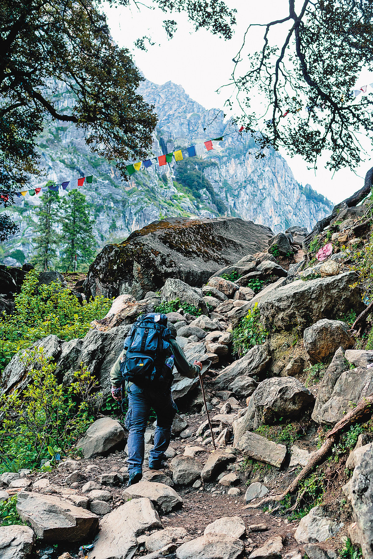 Sethan, Himachal Pradesh
