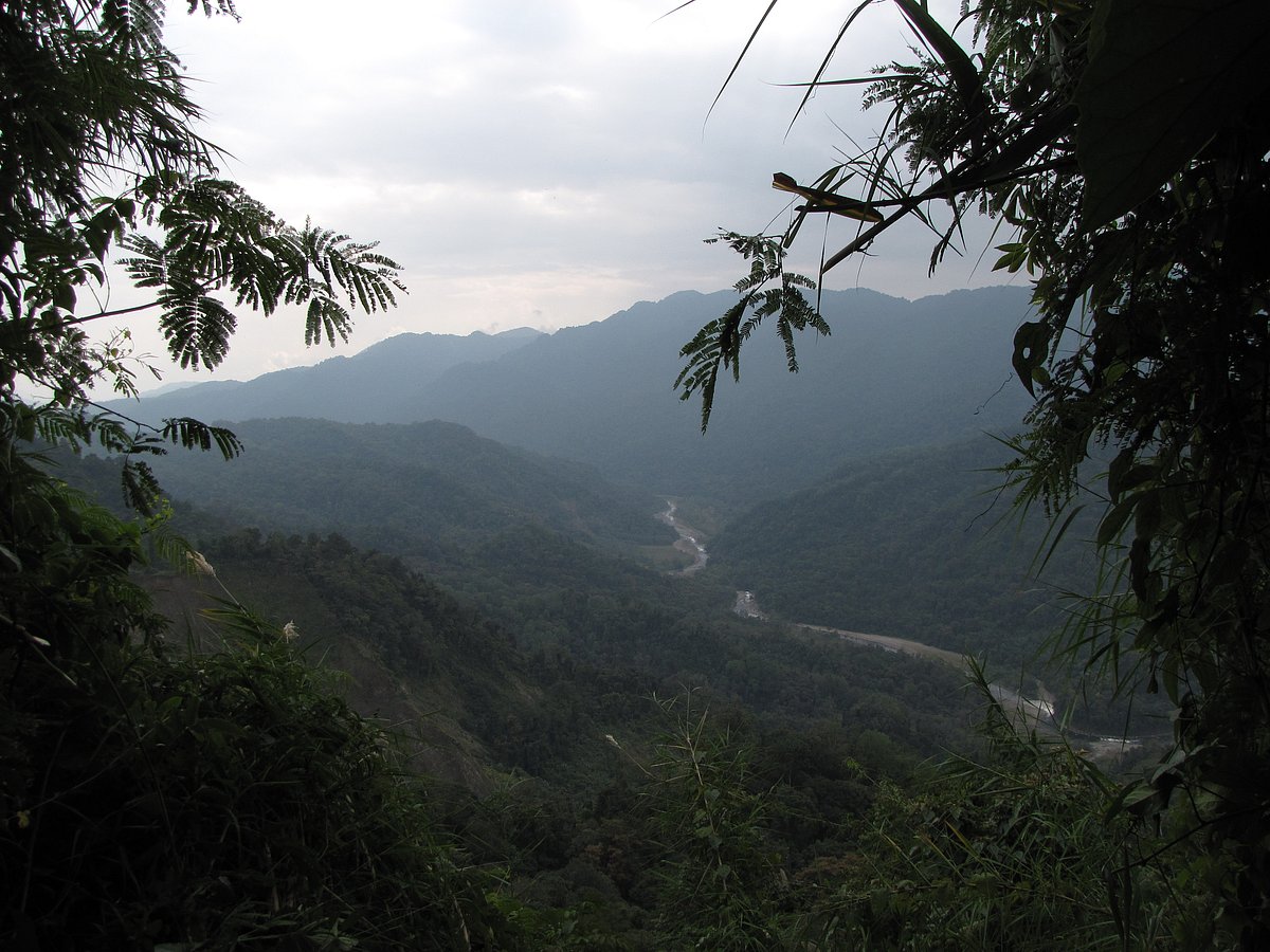 Namdapha forest in Arunachal Pradesh is rich in flora and fauna