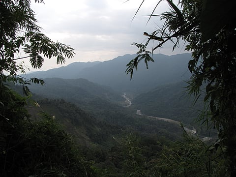 Namdapha forest in Arunachal Pradesh is rich in flora and fauna