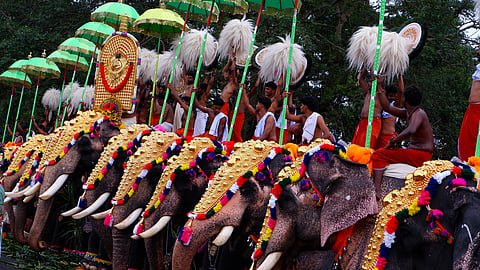 nettipattams (forehead adornments) of caparisoned temple elephants during the renowned Thrissur Pooram